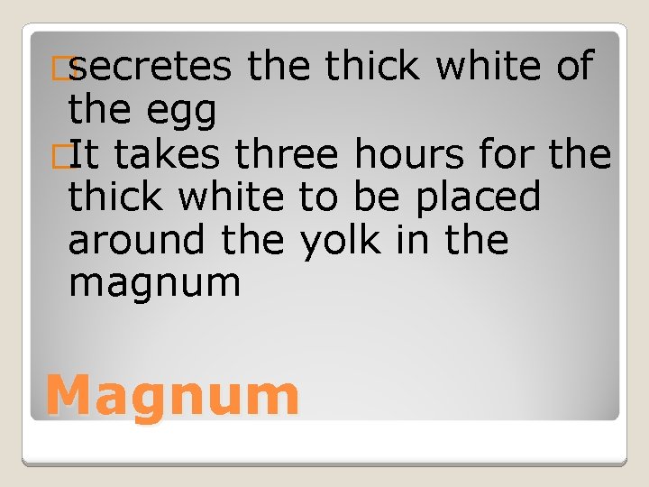 �secretes the thick white of the egg �It takes three hours for the thick