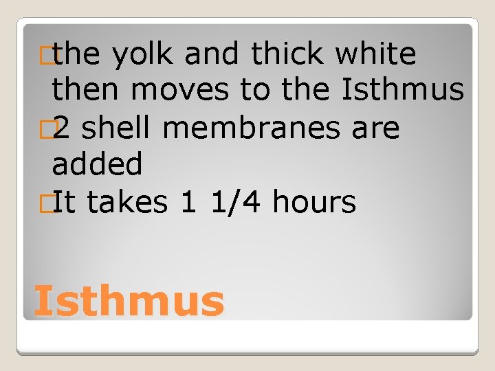 �the yolk and thick white then moves to the Isthmus � 2 shell membranes