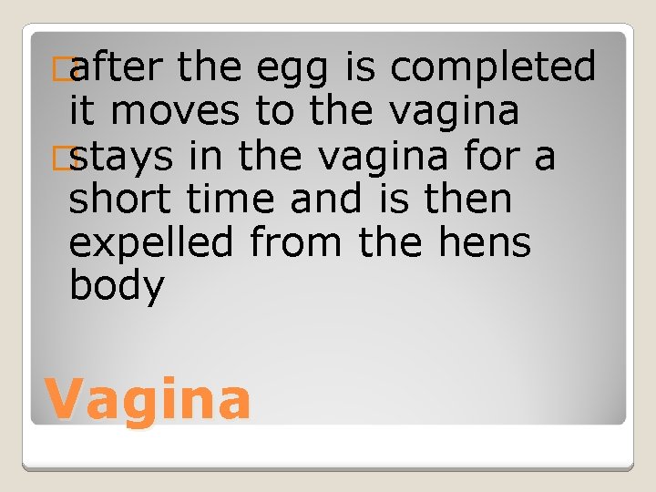 �after the egg is completed it moves to the vagina �stays in the vagina