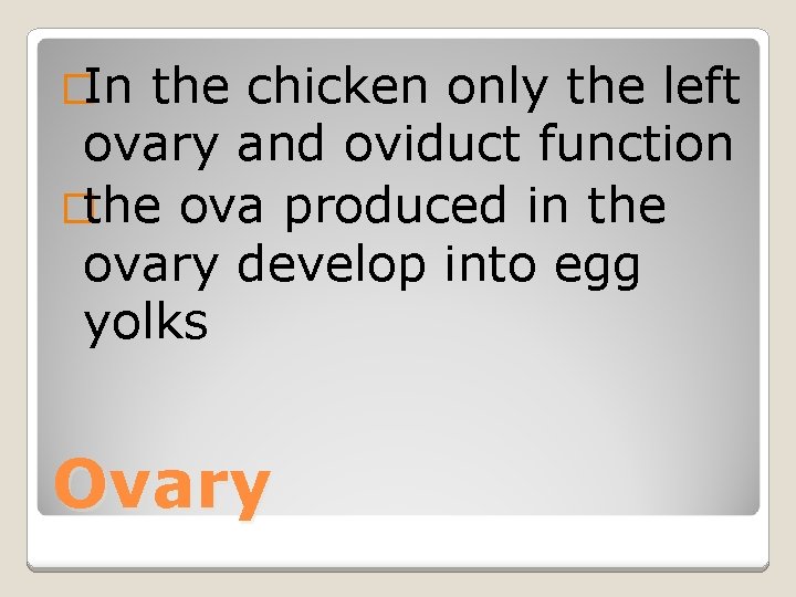 �In the chicken only the left ovary and oviduct function �the ova produced in