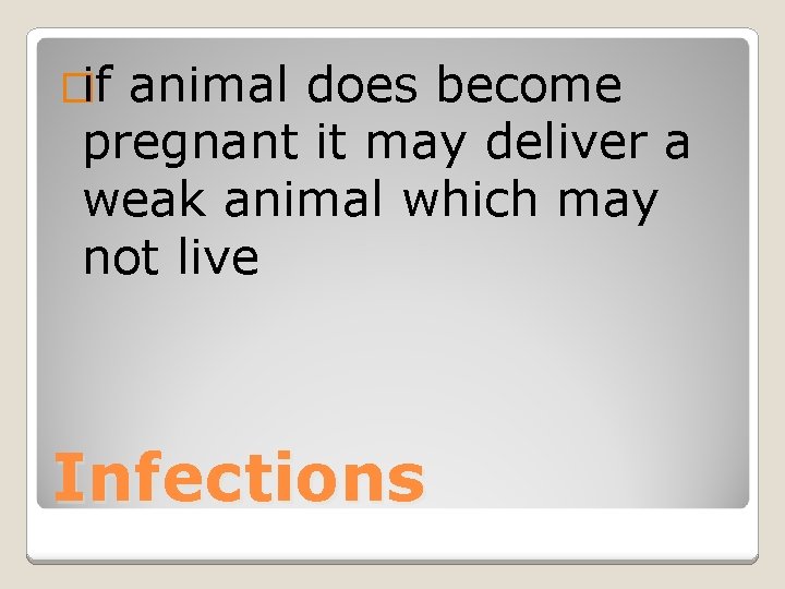 �if animal does become pregnant it may deliver a weak animal which may not