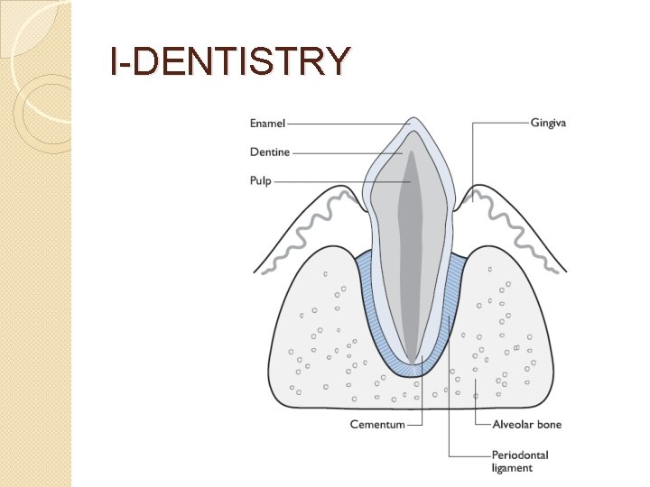 I-DENTISTRY 