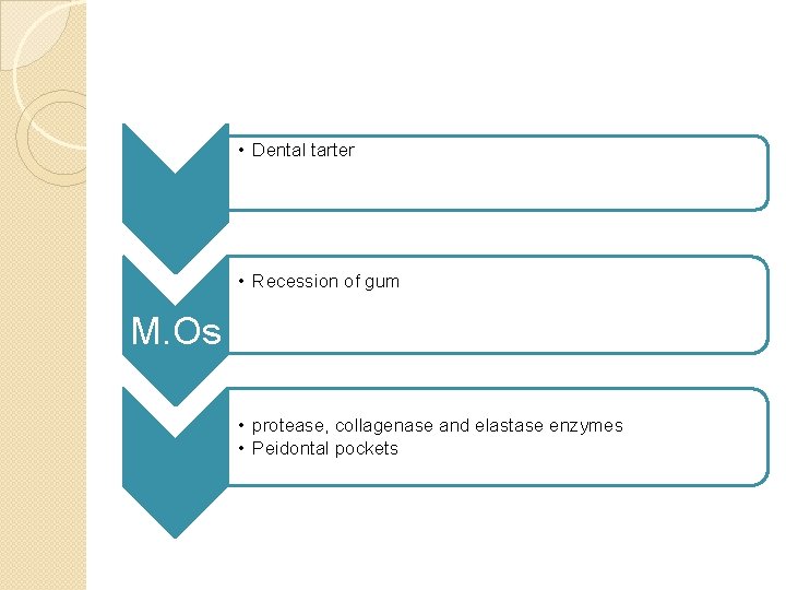  • Dental tarter • Recession of gum M. Os • protease, collagenase and