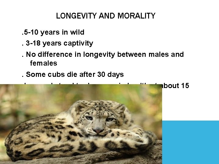 LONGEVITY AND MORALITY. 5 -10 years in wild. 3 -18 years captivity. No difference