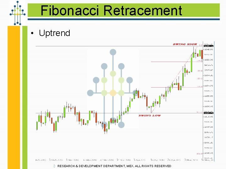 Fibonacci Retracement • Uptrend RESEARCH & DEVELOPMENT DEPARTMENT, MEX. ALL RIGHTS RESERVED 