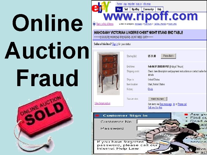 Online Auction Fraud www. ripoff. com 