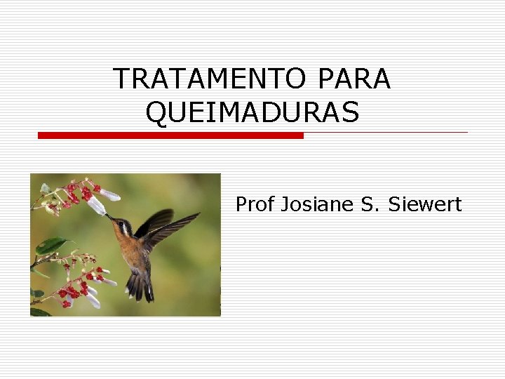 TRATAMENTO PARA QUEIMADURAS Prof Josiane S. Siewert 
