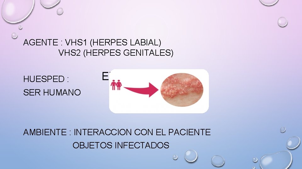 AGENTE : VHS 1 (HERPES LABIAL) VHS 2 (HERPES GENITALES) EXISTEN 2 TIPOS: HUESPED