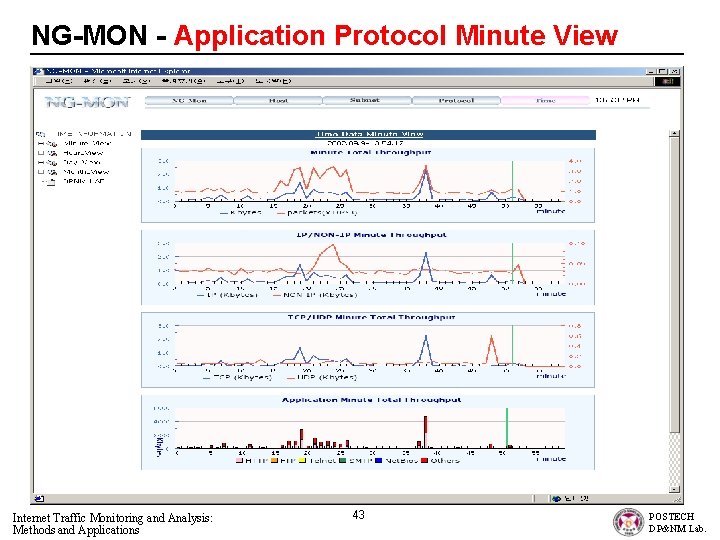 NG-MON - Application Protocol Minute View Internet Traffic Monitoring and Analysis: Methods and Applications