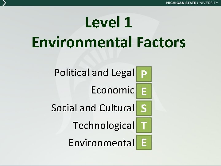 Level 1 Environmental Factors Political and Legal P Economic E Social and Cultural S