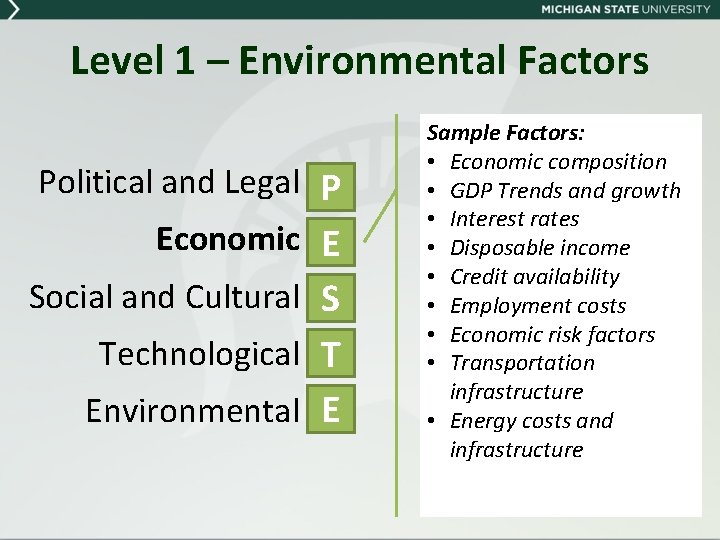 Level 1 – Environmental Factors Political and Legal P Economic E Social and Cultural