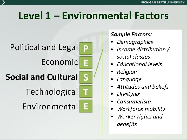 Level 1 – Environmental Factors Political and Legal P Economic E Social and Cultural