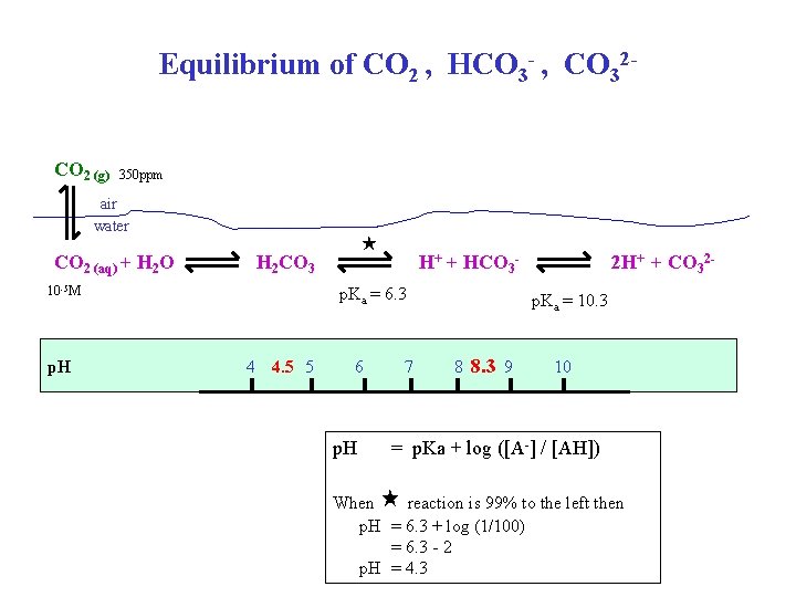 Equilibrium of CO 2 , HCO 3 - , CO 32 CO 2 (g)