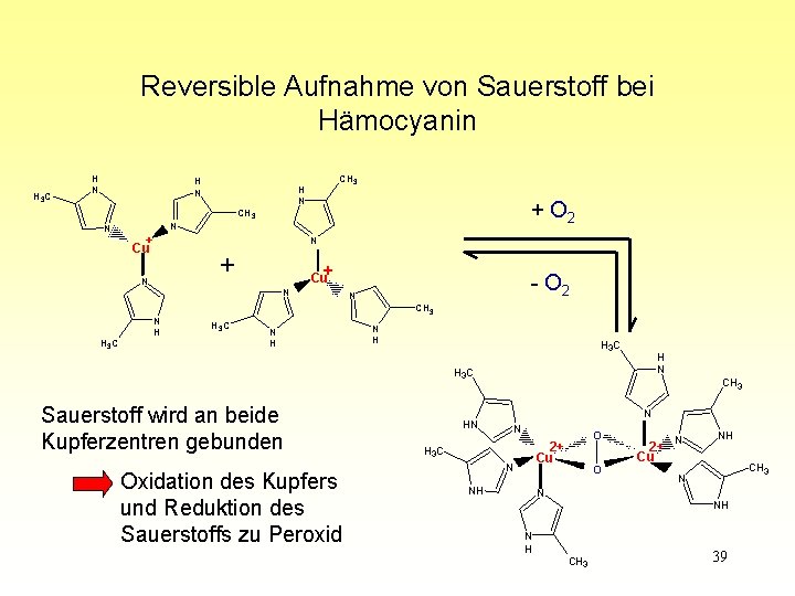 Reversible Aufnahme von Sauerstoff bei Hämocyanin H 3 C H N N N +