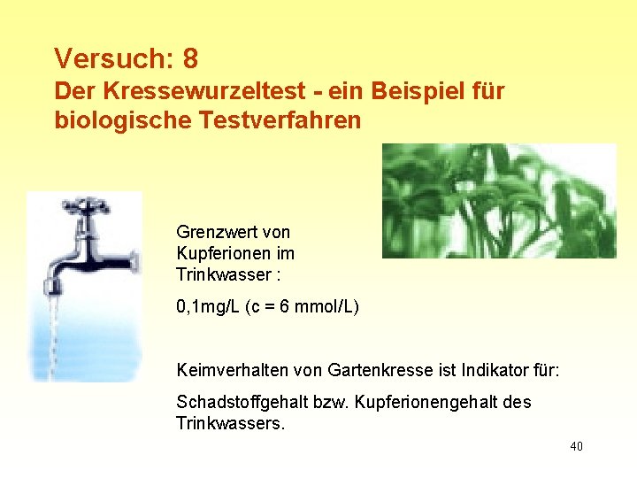 Versuch: 8 Der Kressewurzeltest - ein Beispiel für biologische Testverfahren Grenzwert von Kupferionen im