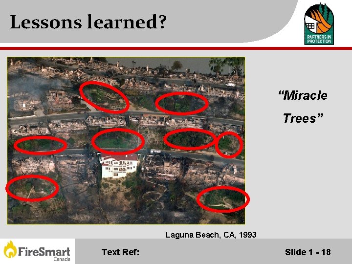 Lessons learned? “Miracle Trees” Laguna Beach, CA, 1993 Text Ref: Slide 1 - 18