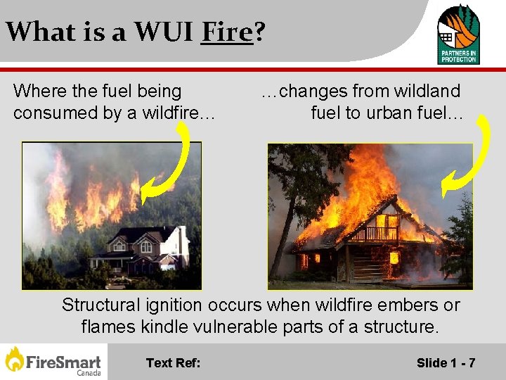 What is a WUI Fire? Where the fuel being consumed by a wildfire… …changes