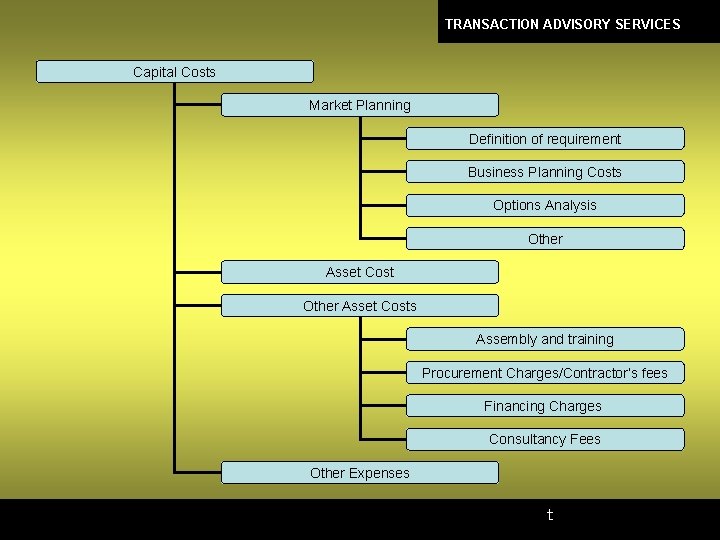 TRANSACTION ADVISORY SERVICES Capital Costs Market Planning Definition of requirement Business Planning Costs Options