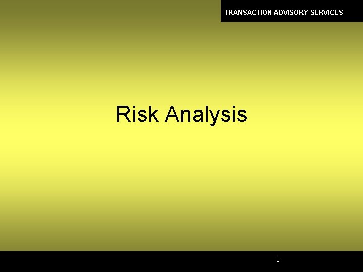 TRANSACTION ADVISORY SERVICES Risk Analysis t 