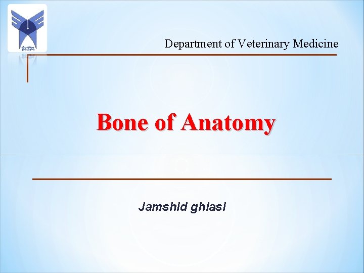 Department of Veterinary Medicine Bone of Anatomy Jamshid ghiasi 