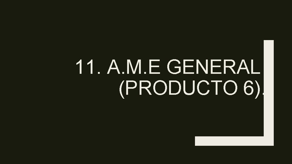 11. A. M. E GENERAL (PRODUCTO 6). 