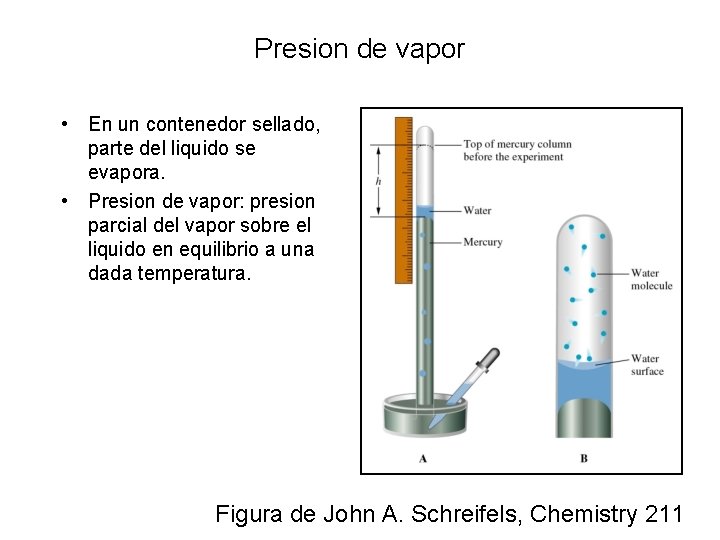 Presion de vapor • En un contenedor sellado, parte del liquido se evapora. •