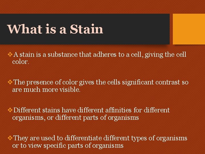 What is a Stain v. A stain is a substance that adheres to a