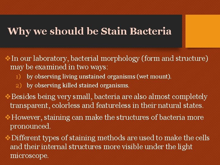 Why we should be Stain Bacteria v. In our laboratory, bacterial morphology (form and