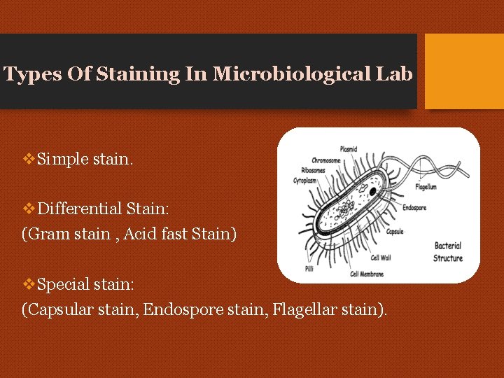 Types Of Staining In Microbiological Lab v. Simple stain. v. Differential Stain: (Gram stain