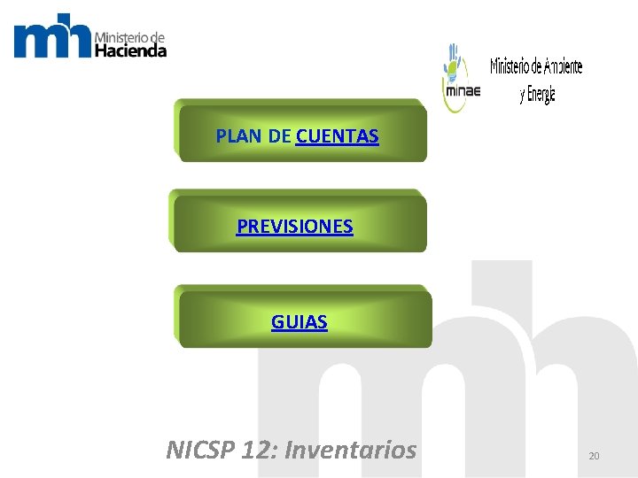 PLAN DE CUENTAS PREVISIONES GUIAS NICSP 12: Inventarios 20 