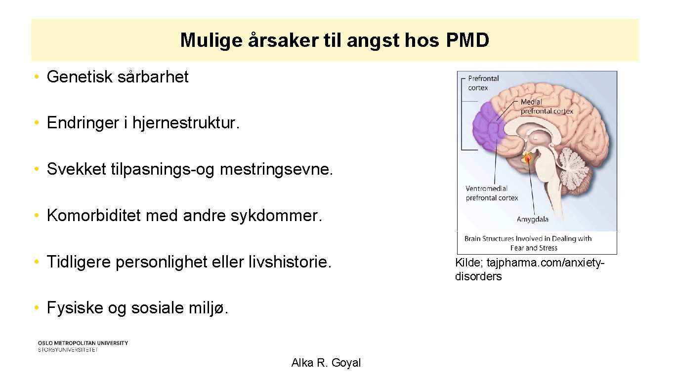 Mulige årsaker til angst hos PMD • Genetisk sårbarhet • Endringer i hjernestruktur. •