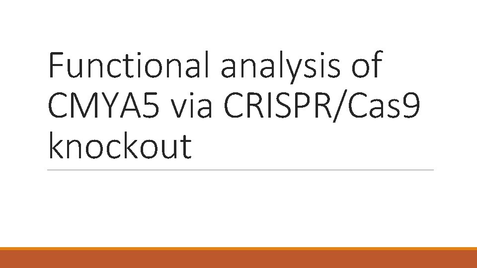 Functional analysis of CMYA 5 via CRISPR/Cas 9 knockout 