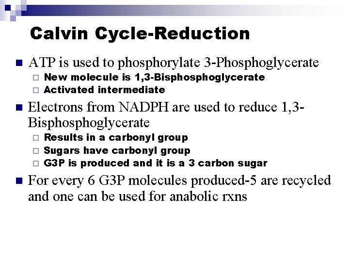 Calvin Cycle-Reduction n ATP is used to phosphorylate 3 -Phosphoglycerate New molecule is 1,