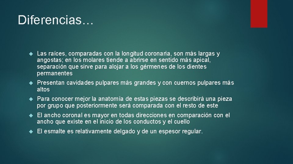 Diferencias… Las raíces, comparadas con la longitud coronaria, son más largas y angostas; en