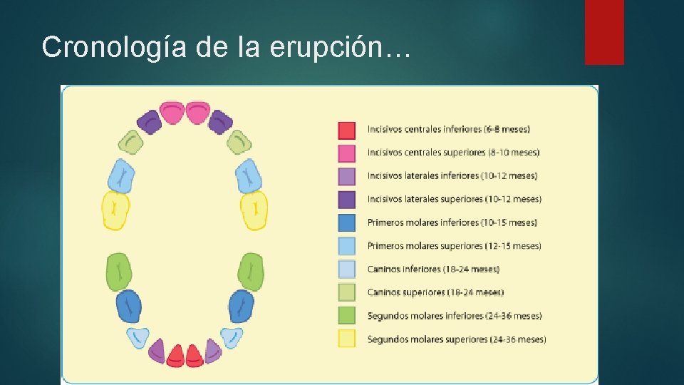 Cronología de la erupción… 