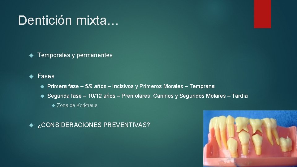 Dentición mixta… Temporales y permanentes Fases Primera fase – 5/9 años – Incisivos y