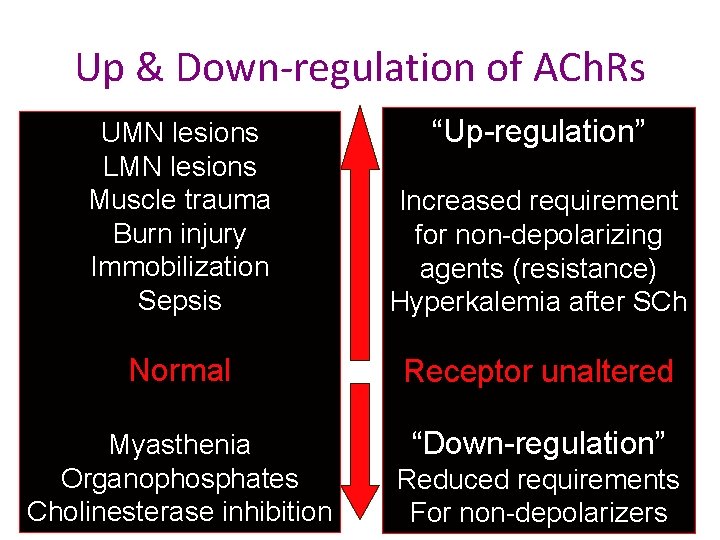 Up & Down-regulation of ACh. Rs “Up-regulation” UMN lesions LMN lesions Muscle trauma Burn