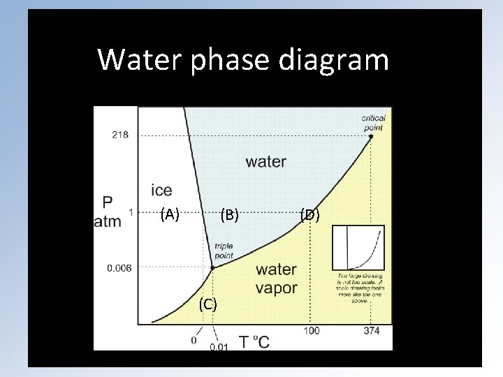 Water phase diagram (A) (B) (C) (D) 