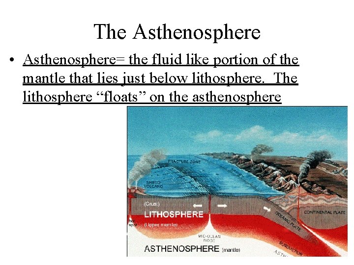 The Asthenosphere • Asthenosphere= the fluid like portion of the mantle that lies just