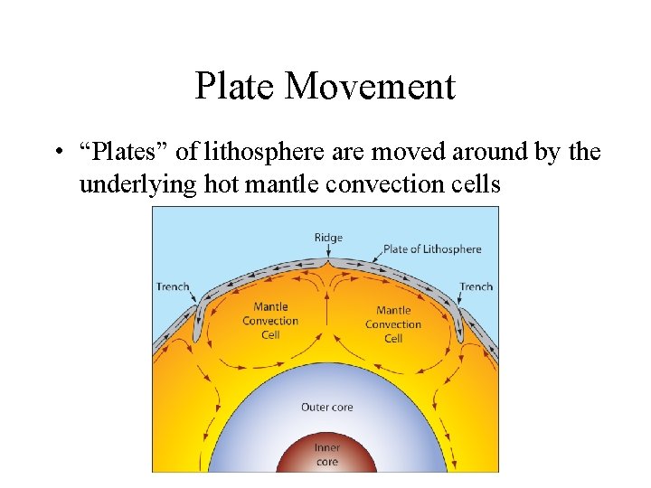 Plate Movement • “Plates” of lithosphere are moved around by the underlying hot mantle