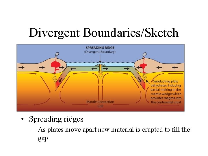 Divergent Boundaries/Sketch • Spreading ridges – As plates move apart new material is erupted