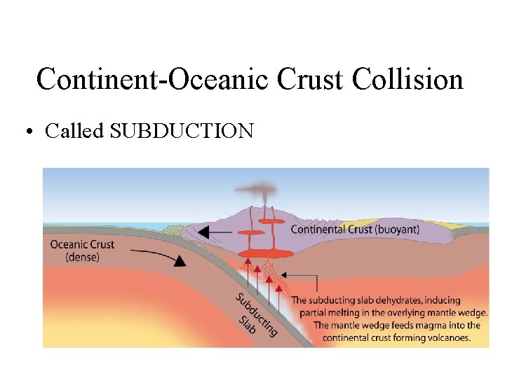 Continent-Oceanic Crust Collision • Called SUBDUCTION 