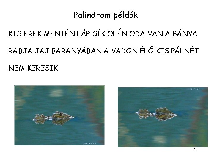 Palindrom példák KIS EREK MENTÉN LÁP SÍK ÖLÉN ODA VAN A BÁNYA RABJA JAJ