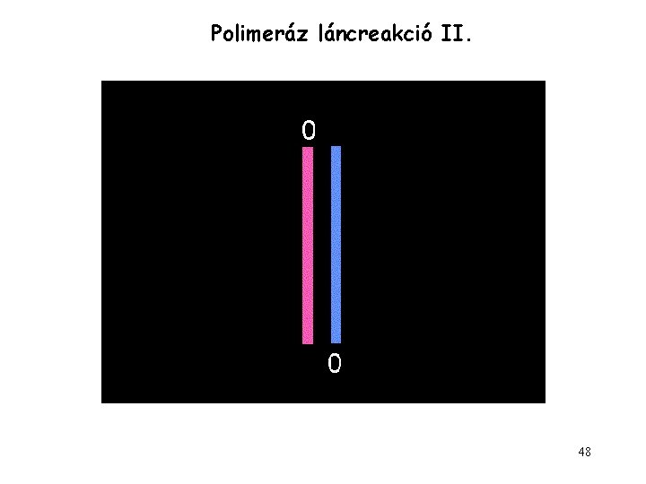 Polimeráz láncreakció II. 48 