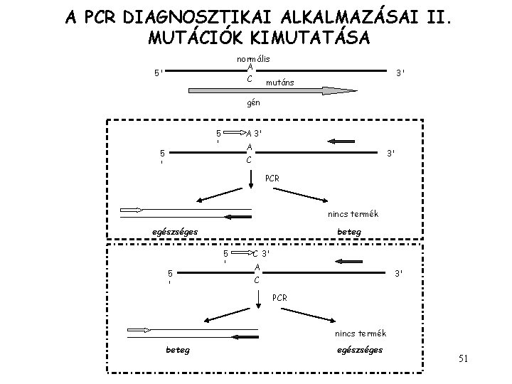 A PCR DIAGNOSZTIKAI ALKALMAZÁSAI II. MUTÁCIÓK KIMUTATÁSA normális A C mutáns 5' 3' gén