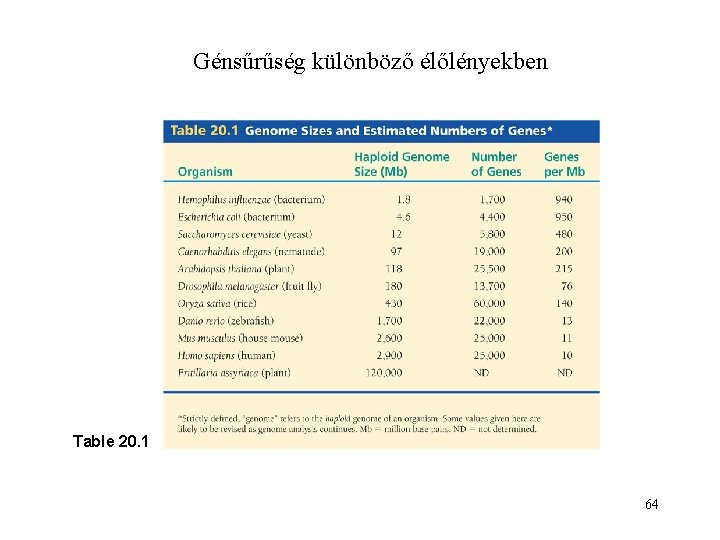 Génsűrűség különböző élőlényekben Table 20. 1 64 