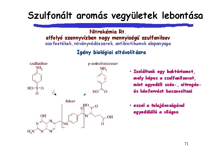 Szulfonált aromás vegyületek lebontása Nitrokémia Rt. elfolyó szennyvízben nagy mennyiségű szulfanilsav azofestékek, növényvédőszerek, antibiotikumok