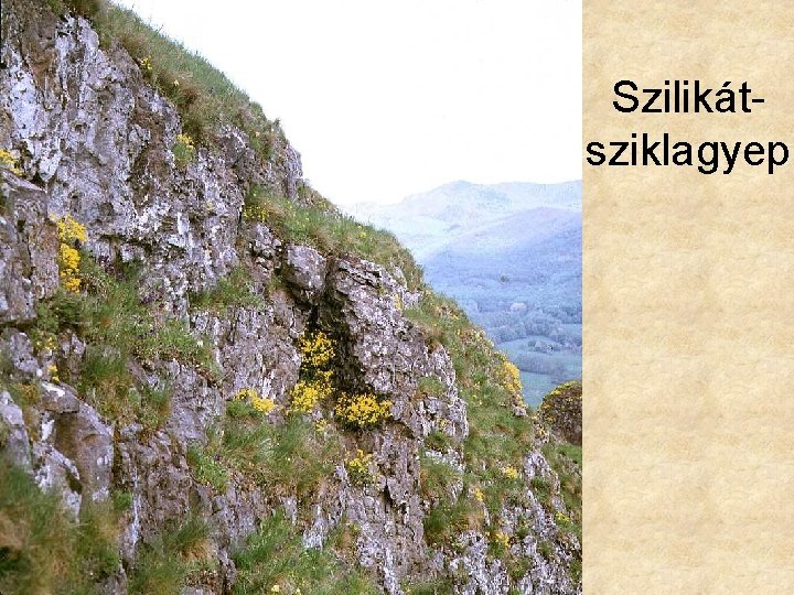 Szilikátsziklagyep 