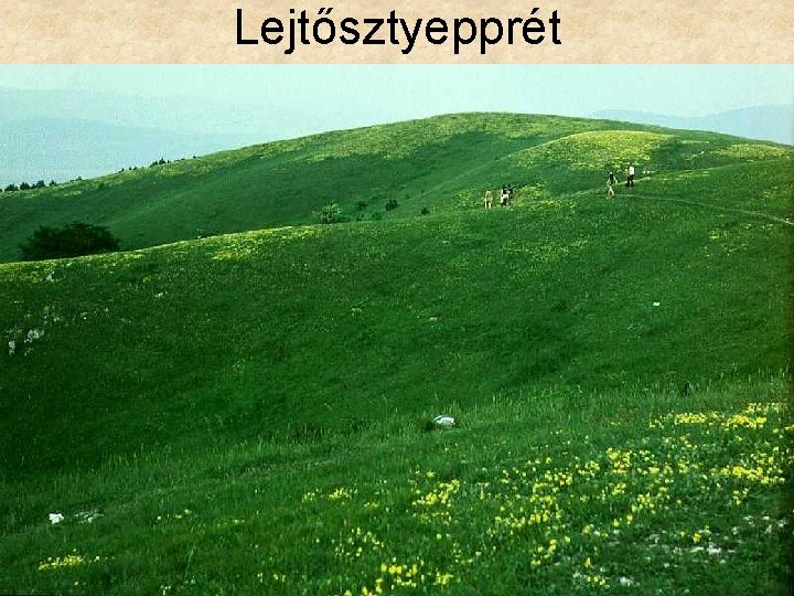 Lejtősztyepprét 