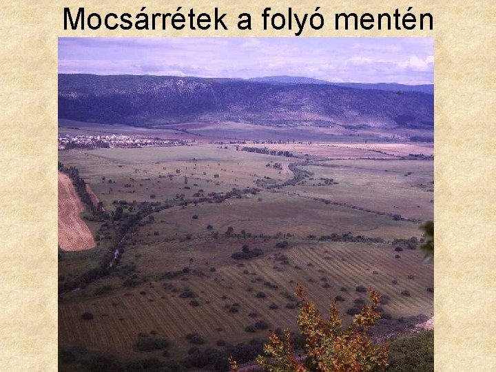 Mocsárrétek a folyó mentén 